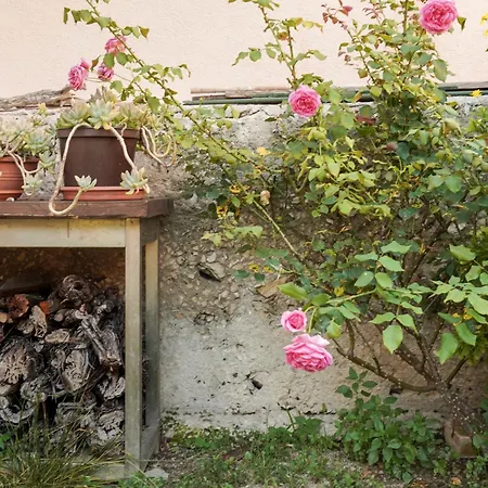 Tranquil Urban Escape Apartment Split